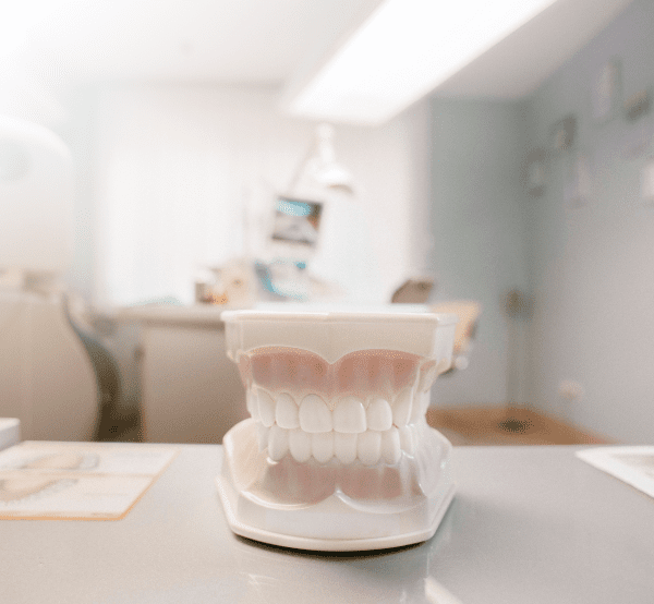 teeth